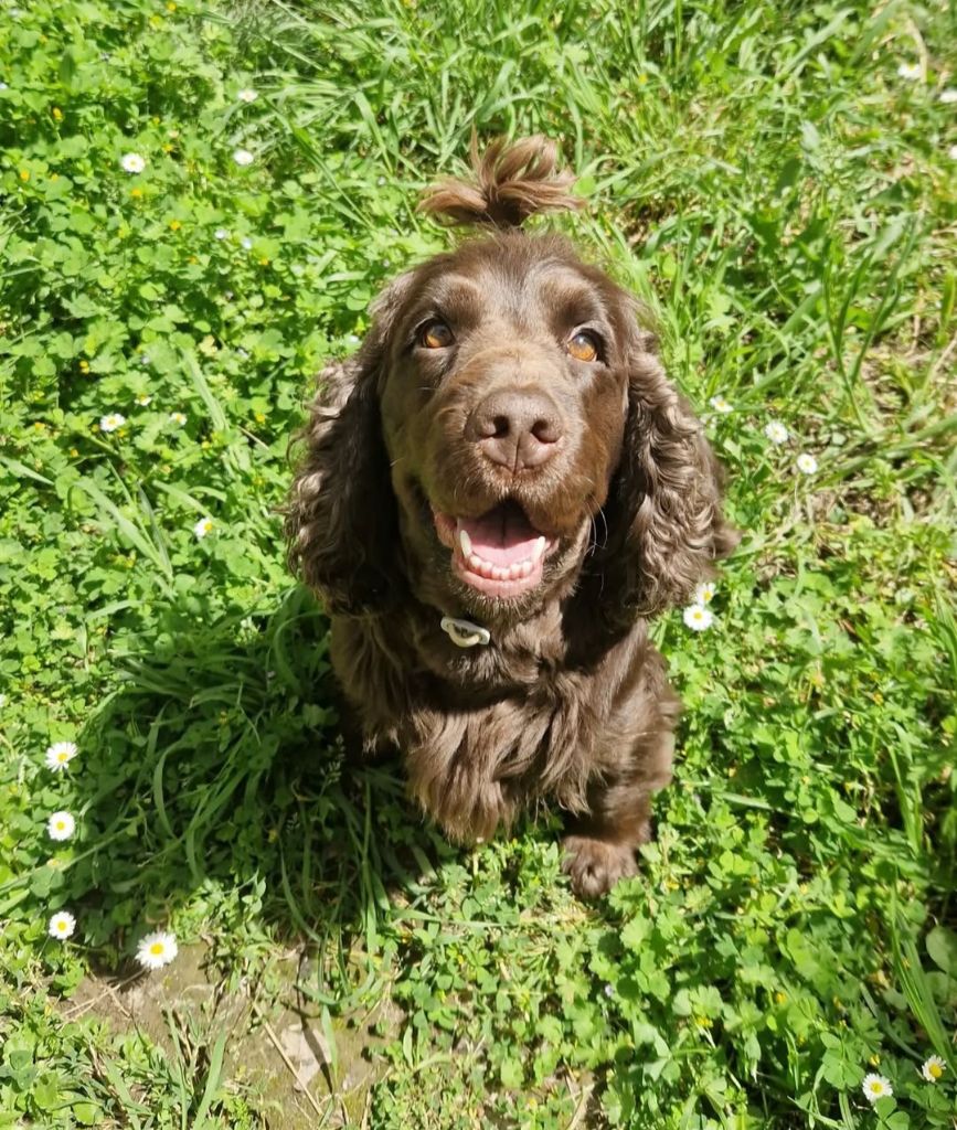 Paola De L'Arc De Sedo