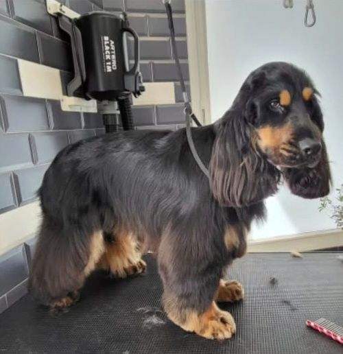 Viking Du Jardin Des Gones